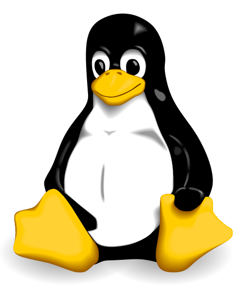 Some Basic Linux Commands